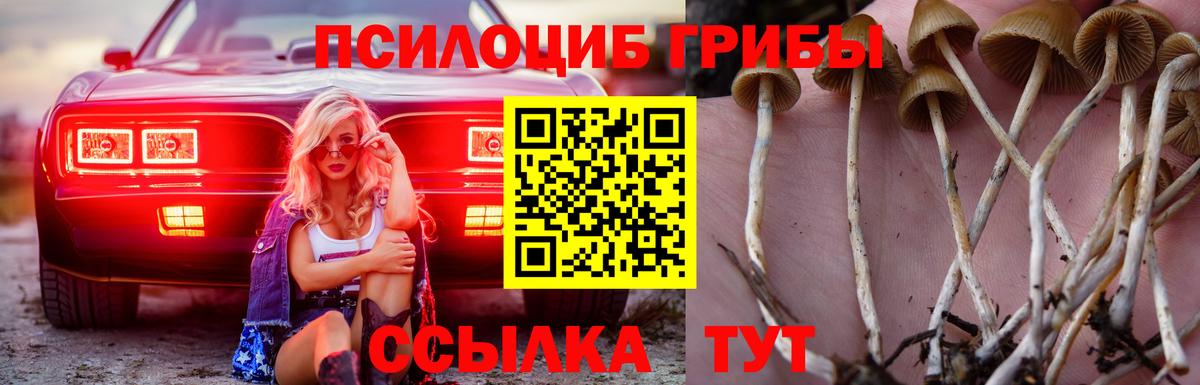 Псилоцибиновые грибы ЛСД  Вход с VPN  Железногорск  дарнет шоп  Галлюциногенные грибы мухоморы 